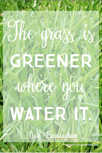 Grass is Greener