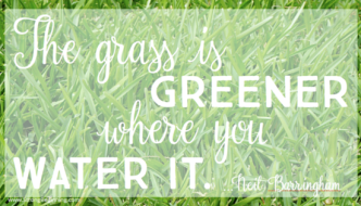 The Grass Is Greener Where You Water It