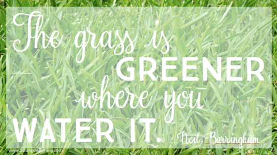 The Grass Is Greener Where You Water It